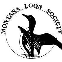 MTLoonSociety's profile picture. 