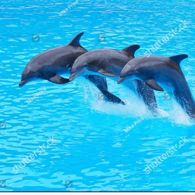 Katheri52327713's profile picture. 