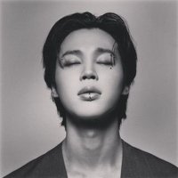 JIMIN (@bts_jm_twt) 's Twitter Profile