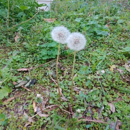 のんびり、気ままに。
自分を持って。
誰でもない私。