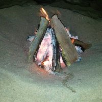Nav (@nav95938769) 's Twitter Profile