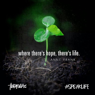 Saleema95734514's profile picture. 