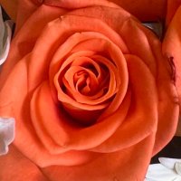 Wednesday33 (@wednesday331) 's Twitter Profile Photo