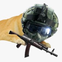 PK59 (@pk59r6) 's Twitter Profile