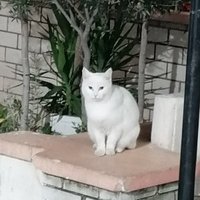 Χιονιτσα (@chionitsa69035) 's Twitter Profile Photo Χιονιτσα (@chionitsa69035) 's Twitter Profile Photo