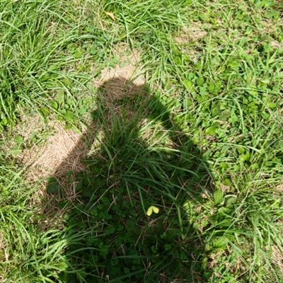 Subline0712_64's profile picture. OLYMPUS PEN E-P7を衝動買いしました。こんな初心者でも綺麗な写真が撮れる事を知って頂きたくて写真をアップしています。インスタにも同じ画像などをアップしています。