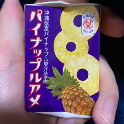 好物パイナップル入りの酢豚