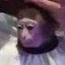 Perromotor (@chayopambazo) Twitter profile photo Perromotor (@chayopambazo) Twitter profile photo