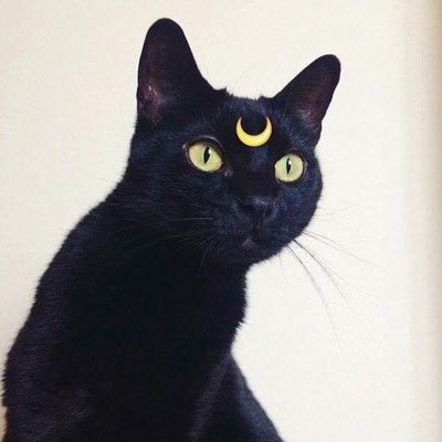 me8OvCAEk83426's profile picture. 元彼忘れられない女が無事に結婚しました今は旦那が宇宙で一番です2024.12