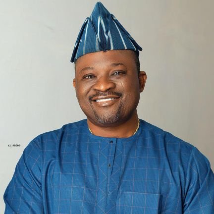 Member of the House of Representatives, representing Ibadan North Federal Constituency, Nigeria.

Chairman, House Committee on Science Research Institutes.