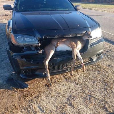 ktanner850's profile picture. 