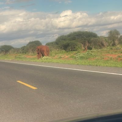 gmathendu's profile picture. Entrepreneur