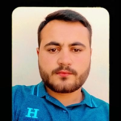 n3kores's profile picture. web programmer