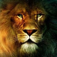 Paras Goel (@paras_goel17) 's Twitter Profile