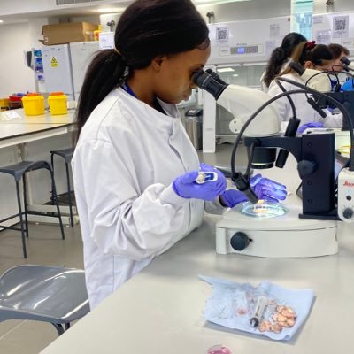 JemimaAtenaga's profile picture. MSc Biotechnology |Bioinformatics|🧬 |England 🇬🇧|PTDF Scholar’ 22🇳🇬. 🎾. @Carlitos fan. @Swatiek. Vamos.
