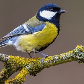 KLaaroversteek's profile picture. Happy traveler in personal leadership development.