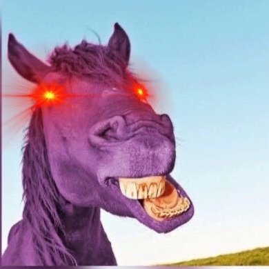 Nostr: purplehorse@nostrplebs.com

0.5% off of fees on buying Bitcoin on https://t.co/M3PIXtL5RN? Use code HORSE

⚡️purplehorse@getalby.com