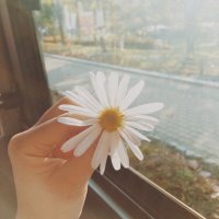 A (@hjruu) Twitter profile photo