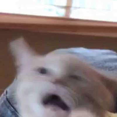 daisysushii's profile picture. violeⁿt ⋆ ˚｡⋆୨୧ ⁺˚⋆｡° ♡₊.