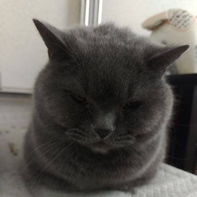 bv4p8's profile picture. よろしく！