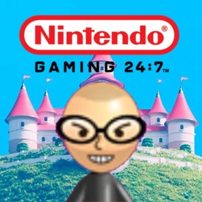 Nintendo Website Facts