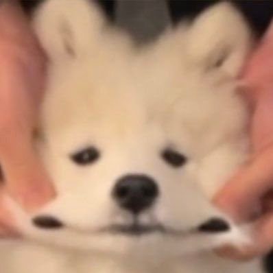 auiiun's profile picture. 