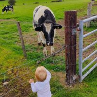 Holly Shearman (@holz1987holz) 's Twitter Profile Photo Holly Shearman (@holz1987holz) 's Twitter Profile Photo