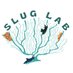 Slug Lab (@slug_lab) Twitter profile photo Slug Lab (@slug_lab) Twitter profile photo