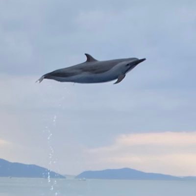 angry___hungry's profile picture. タクト2023年5月から  微課金