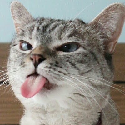 AskSuperap23118's profile picture. 