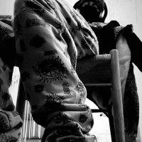 phlegmatic (@stockexcc) 's Twitter Profile