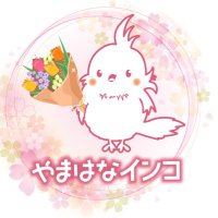やまはなインコ【ピリカ・ポプラ・ラム・チセ】 (@yamahanainko) 's Twitter Profile Photo やまはなインコ【ピリカ・ポプラ・ラム・チセ】 (@yamahanainko) 's Twitter Profile Photo