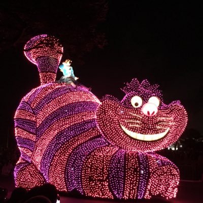 成人済/無言フォロー、リツイート、いいね失礼します。/ 雑多アカウントです。/RA(膠原病)2024.10〜 持ってます。