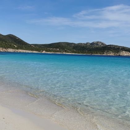 Aluk1973's profile picture. 