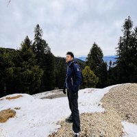 Z!shnu Borgohain (@zishnu1) 's Twitter Profile