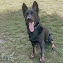 Anthony Mullins - @AnthonyMul1369 - Twitter