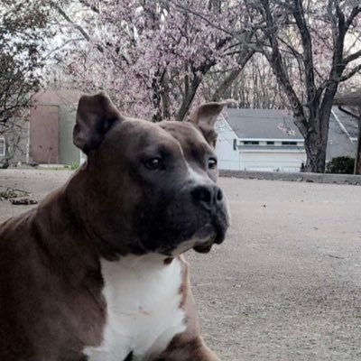 EricMcFadd78105's profile picture. 
