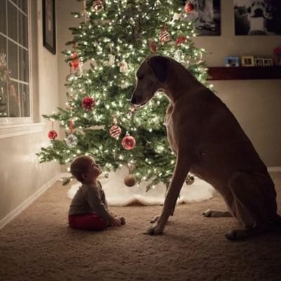 tmmmd1064595544's profile picture. 