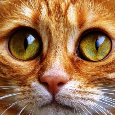 droprealradio's profile picture. 想成功的人,却失败了,这也许是好事,因为你仍在努力、奋斗,直至把最优秀的自己呈现。