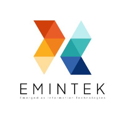 Emintek LLC is a company of experienced professionals who have a wealth of knowledge and expertise in digital marketing and web development.