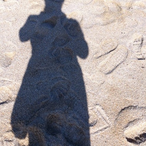 senylee's profile picture. 