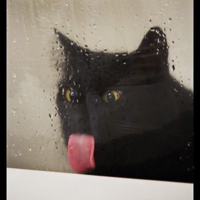 tangankurus's profile picture. Akun hiburan