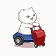 やえさんのプロフィール画像