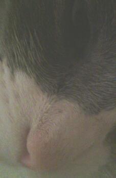 ForrealsJena's profile picture. nothin special. just me :)