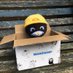 Jobert the Cat (@jobertthecat) Twitter profile photo Jobert the Cat (@jobertthecat) Twitter profile photo