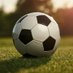 College Soccer Openings (@collegesopens) Twitter profile photo College Soccer Openings (@collegesopens) Twitter profile photo
