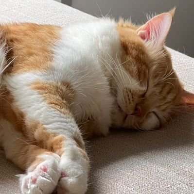 locatiounknown's profile picture. 