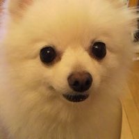 🌸ひで🍀 (@eeztoamsvif8oc8) 's Twitter Profile Photo 🌸ひで🍀 (@eeztoamsvif8oc8) 's Twitter Profile Photo