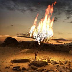 Postdoc at Tsinghua Uni, Physical Chemistry PhD @ELTE_UNI (https://t.co/75BBDBpFPD), interested in combustion reaction kinetics