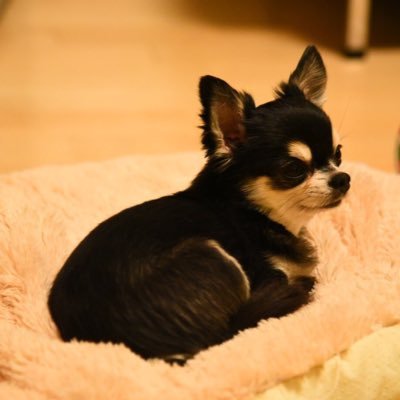 写真集keying 51yUBu4n90L.jpg
